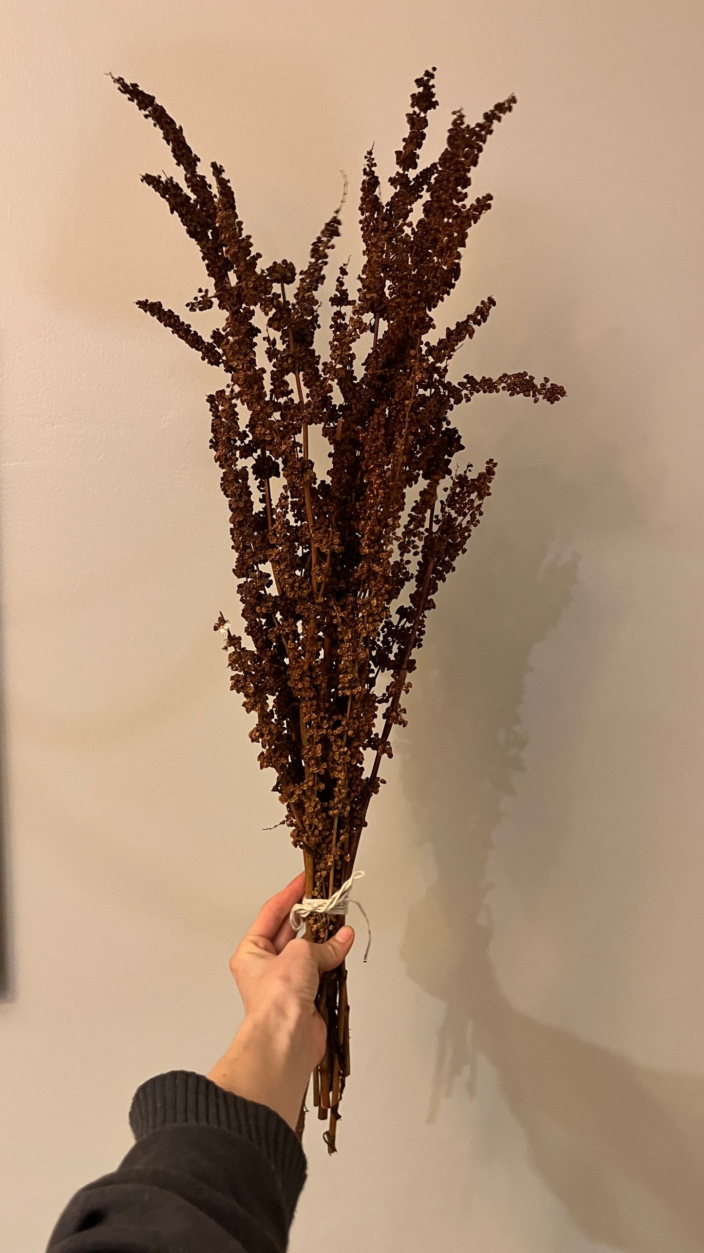 Ramo Junquillos Café